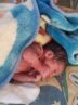 سرنوشت ۲ نوزاد رها شده در شهرری و میدان ونک