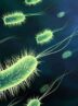 آخرین وضعیت بیماری وبا در ایران