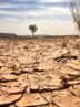 خشکسالی ایران تا سه سال دیگر ادامه دارد