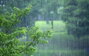 پیش بینی بارش باران در ۷ استان
