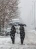 پیش بینی بارش برف برای ۷ استان