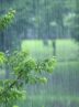 پیش بینی بارش باران در ۱۲ استان
