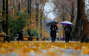 پیش بینی بارش باران فردا در تهران