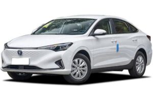 (ارائه خدمت حساب وکالتی در بانک ملت برای خرید خودروی برقی سایپا